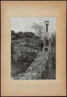 1960, 1962 "Zúzmara és Szabad hazánk 15 éve", 2 db díjazott fotó, 23×17 cm