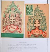 Trianon Kiállítási anyag. 6 kiállítási lapon 9 db régi irredenta propaganda képeslap / Trianon Exhib...