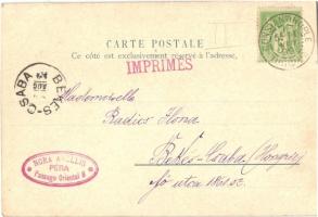 1899 Constantinople, Istanbul; Fontaines et Tombeaux des Sultans a Eyoub / fountain and tomb of Eyüp