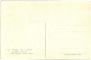 5 db RÉGI albán népviseletes motívumlap / 5 pre-1945 Albanian folklore motive postcards. Photo Studi...