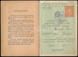 cca 1929-1930 M. Kir. fényképes útlevele magánhivatalnok részére, osztrák és csehszlovák bejegyzések...