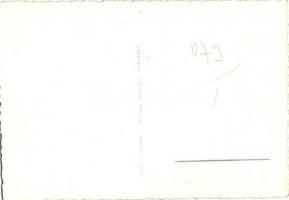 1941 Cortina d'Ampezzo, FIS Alpine World Ski Championship. The Hungarian and Italian teams with...