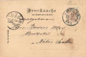 1902 C. Trau K.u.K. Hof Thee und Rum Handlung, Wien I/18. Himmelpfortgasse 30. Ceylon Thee-Ernte / V...