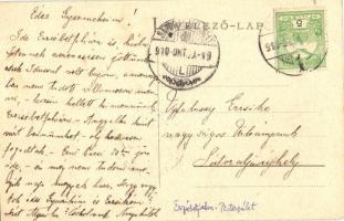 1910 Budapest XX. Pestszenterzsébet, Pesterzsébet, Erzsébetfalva; Jegyzői lak, Ifj. Majorlak, Dr. Sz...