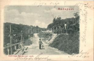 1899 Budapest XII. Svábhegy, Fogaskerekű vasút   gőzmozdonya (EK)