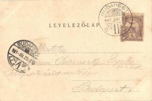 1901 Budapest XI. Kelenföld, Mattoni-féle Erzsébet Sósfürdő kertje. Divald Károly 374