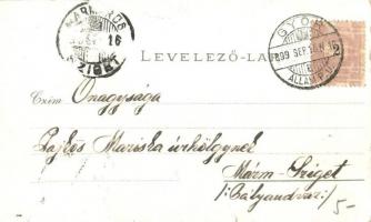 1899 Győr, M. kir. állami tanítóképző intézet, urak a kertben. Mehner & Maas No. 3604. floral li...