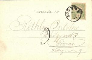 1902 Siófok, Kikötő a Baross és Helka gőzössel