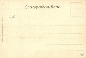 1898 Vienna, Wien XIX. Donau bei Hochwasser mit Sperrschiff bei Nussdorf / the blocking ship at floo...