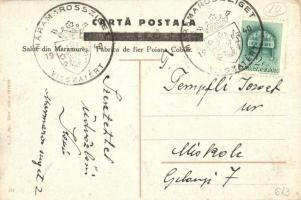 Gyertyánliget, Kabola Polyána, Kobyletska Poliana (Máramaros); vasgyár / iron works, factory "1...