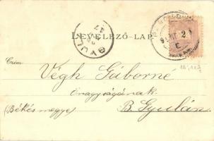 1899 Pancsova, Pancevo; Temespart, Gőzmalom. Kohn Samu kiadása / river bank, steam mill. Floral, Art...