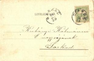 1903 Siófok, kikötő a Baross gőzössel (szakadás / tear)