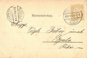 1900 Pozsony, Pressburg, Bratislava; Lutz Ede és Társa festékgyár reklámlapja / Hungarian paint fact...