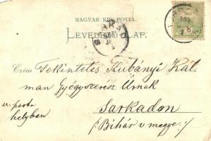 1904 Turdossin, Turdos, Tvrdosín; községháza, Millenium emlékoszlop, Donner szálló, Erdész lak. Ed. ...