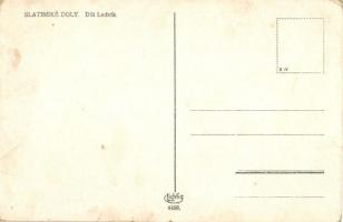 Aknaszlatina, Slatinské Doly, Solotvyno; Lajos akna / Dul Ludvik / mine (EK)