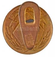 1944. "Pro Labore Ganz 1844" zománcozott és aranyozott Cu jelvény, kiadva a Ganz 100. évfo...