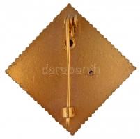 1964. "Tokyo Olimpia" aranyozott és zománcozott jelvény (34x33mm) T:1- / 
Hungary 1964. &...