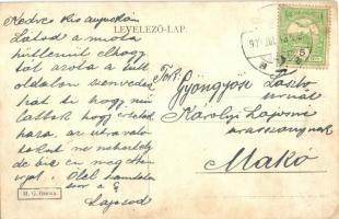 1909 Orsova, Módósi nyaralója a Forráshoz / villa (EK)