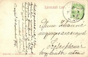 1914 Borjád, Sass-kúria kerti törpével (EK)