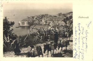 Dubrovnik, Ragusa; general view, donkey (EK)