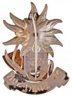 ~1930. "MTE (Magyar Turista Egyesület) - Medikusok" zománcozott és ezüstözött jelvény, hát...