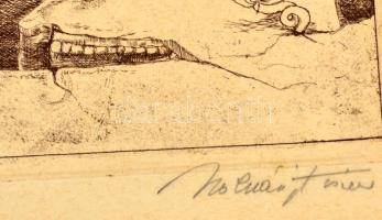 Molnár Iscsu István (1947- ) A szép muzeológus emlékei. Rézkarc, papír, jelzett, 29×39 cm