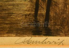 Paulovits Pál (1892-1975): Velence. Színezett rézkarc, karton, jelzett, 34,5×24 cm