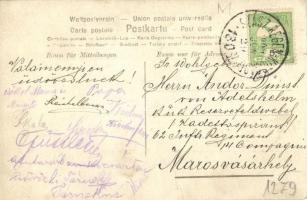 1909 Szászrégen, Reghin; fűrésztelep / sawmill. photo (EK)