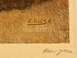 Edvi Illés Aladár (1858-1927): Varró asszony. Színezett rézkarc, papír, jelzett, 28×38 cm