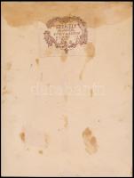 Ady Endre (1877-1919) portréja, nagyméretű fotó kartonra ragasztva, Székely Aladár felvétele, jelzet...