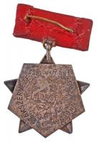 ~1970-1980. "Szakszervezetek Országos Tanácsa Elnöksége" részben zománcozott kitüntetés T:...