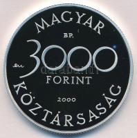 2000. 3000Ft Ag "Veszélyeztetett állatvilág - hód" tanúsítvánnyal T:PP
Adamo EM165