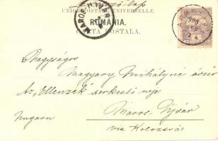 1900 Iasi, Jassy, Jászvásár; Statuia Miron Costin, Marca Judetului / statue