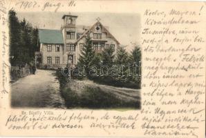 1902 Tusnádfürdő, Baile Tusnad; Báró Bánffy villa / villa (EK)