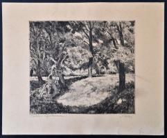 Biai-Föglein István (1905-1974): Tisztás a szigetcsúcson. Rézkarc, karton, jelzett, 24×29 cm