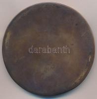 DN "Magyar Politikai Foglyok Szövetsége" egyoldalas Br emlékérem (79mm) T:1-