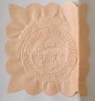 1916 Tornatanítónői oklevél 42x54 cm