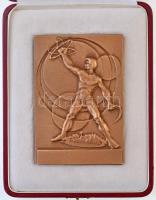 ~1970. "Nagyváthy János 1755-1819" kétoldalas Br plakett, eredeti dísztokban (80x117mm) T:...