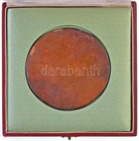 1969. "Állami Gazdaságok 1949-1969" egyoldalas Br emlékérem, eredeti tokban (85mm) T:2