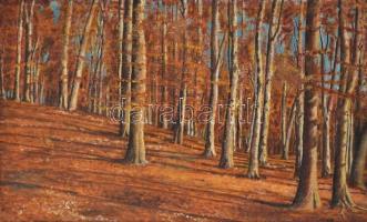 Csillag József (1894-1977): Őszi erdő. Olaj, vászon, jelzett, keretben, 37×60 cm