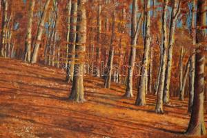 Csillag József (1894-1977): Őszi erdő. Olaj, vászon, jelzett, keretben, 37×60 cm