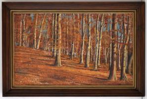 Csillag József (1894-1977): Őszi erdő. Olaj, vászon, jelzett, keretben, 37×60 cm