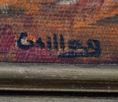 Csillag József (1894-1977): Őszi erdő. Olaj, vászon, jelzett, keretben, 37×60 cm