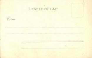 Választási emlék 1901-ből. Száz kortes egy sorba, zászlót lobogtatva... Mi kell a magyarnak? / Hunga...