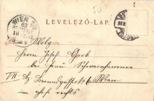 1898 Budapest VI. Rózsa utca 55. Rigler József Ede papírneműgyár rt. litho (EK)