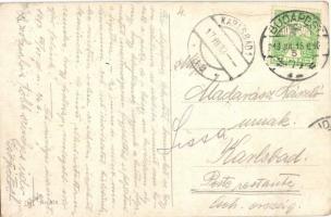 Bears sledding in winter s: K. Hesse