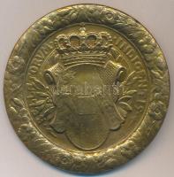 Osztrák-Magyar Monarchia 1917. "Habsburg Ottó trónörökös" Br emlékérem. Szign.: H. Kautsch...