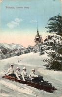Sinaia, Castelul Peles / Winter sport with castle, five-man controllable bobsleigh (EK)