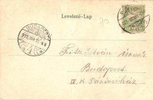 1902 Győr, látkép, zsinagóga, híd. Lóherés Art Nouveau litho keret (EK)