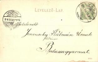 1900 Vác, Siketnémák intézete, diákok csoportképe